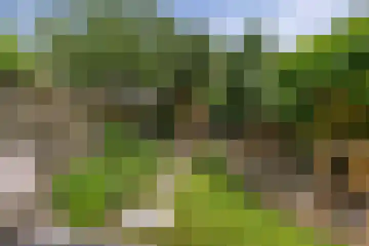 De Wetterwille 165 Drachten thumbnail 32