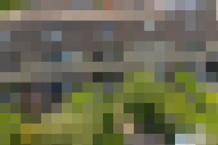 De Wetterwille 165 Drachten thumbnail 38