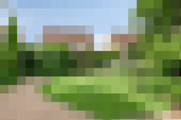 De Wetterwille 198 Drachten thumbnail 29