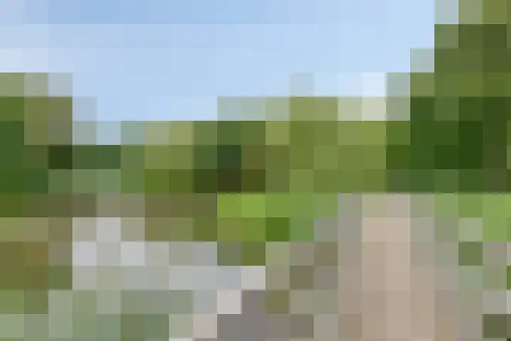 De Wetterwille 198 Drachten thumbnail 32