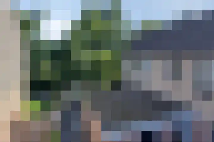 De Wetterwille 229 Drachten thumbnail 10