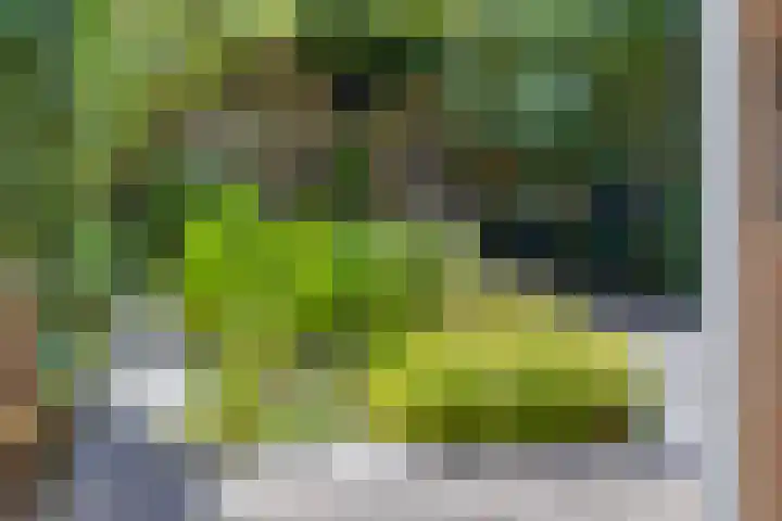 De Wetterwille 229 Drachten thumbnail 17