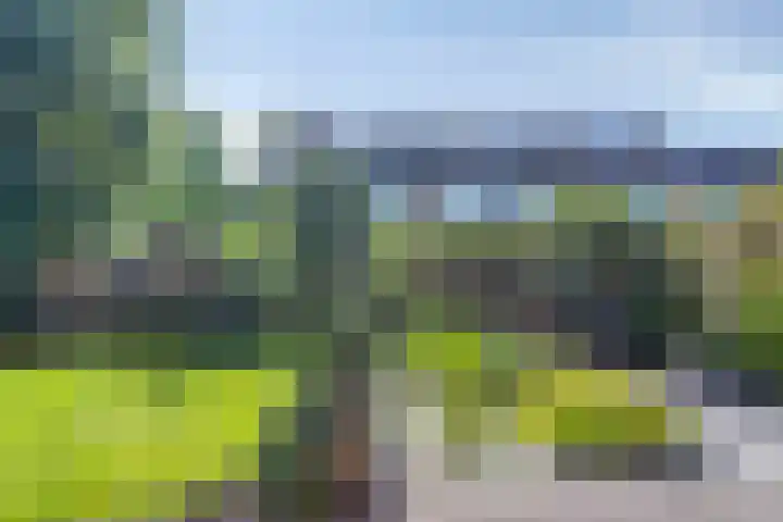 De Wetterwille 229 Drachten thumbnail 38