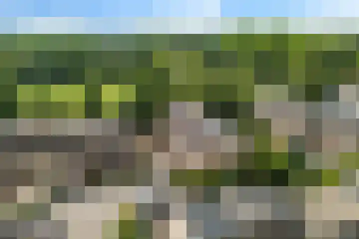 De Wetterwille 229 Drachten thumbnail 56