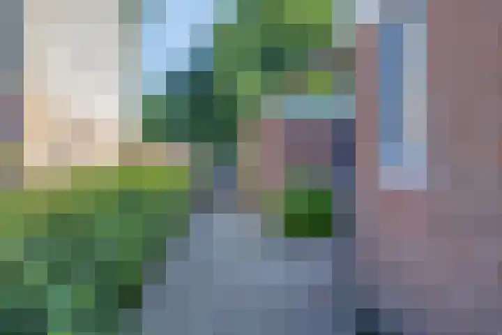 De Wetterwille 229 Drachten thumbnail 9
