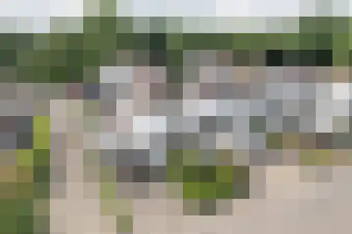 De Wetterwille 271 Drachten thumbnail 30