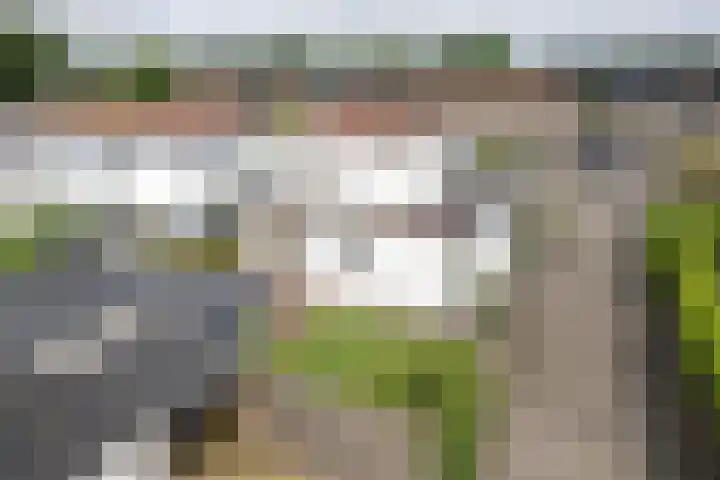 De Wetterwille 271 Drachten thumbnail 31