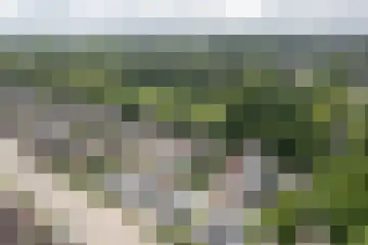 De Wetterwille 271 Drachten thumbnail 32