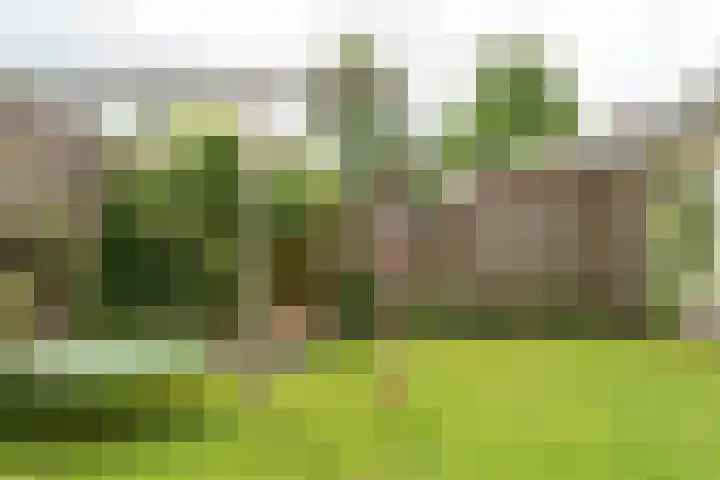 De Wetterwille 271 Drachten thumbnail 38