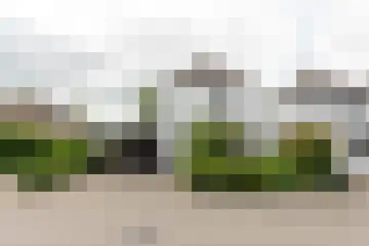 De Wetterwille 271 Drachten thumbnail 44