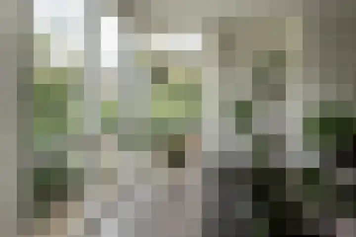 De Wetterwille 271 Drachten thumbnail 8