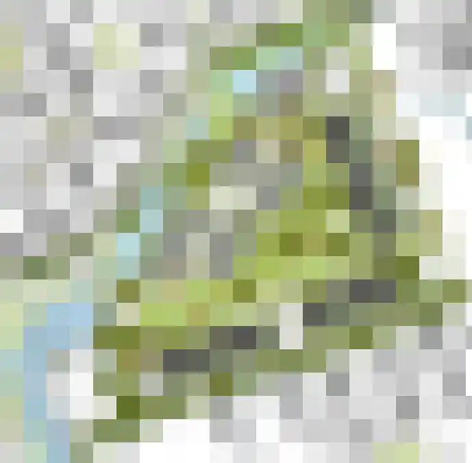 De Wetterwille 46 Drachten thumbnail 7