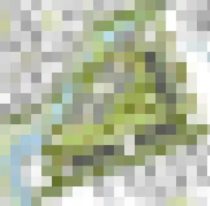 De Wetterwille 56 Drachten thumbnail 8