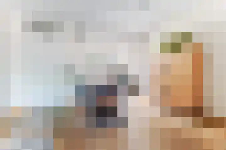 De Wever 14 Moerstraten thumbnail 10