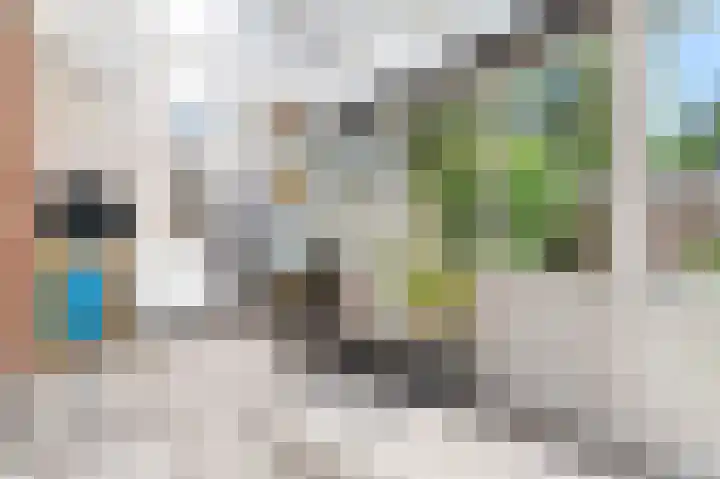 De Wever 14 Moerstraten thumbnail 18