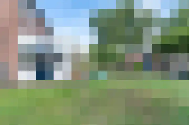 De Wever 14 Moerstraten thumbnail 33