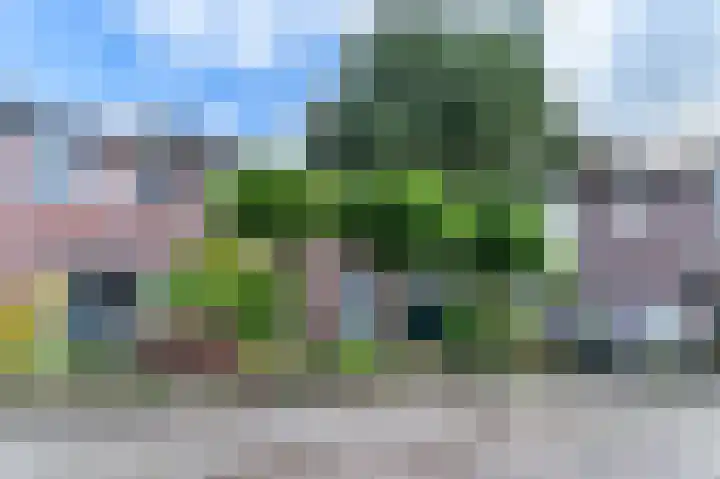 De Wever 14 Moerstraten thumbnail 35