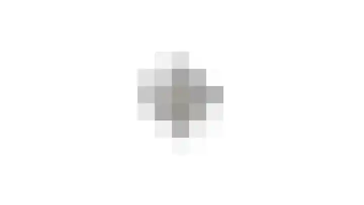 De Wever 14 Moerstraten thumbnail 47