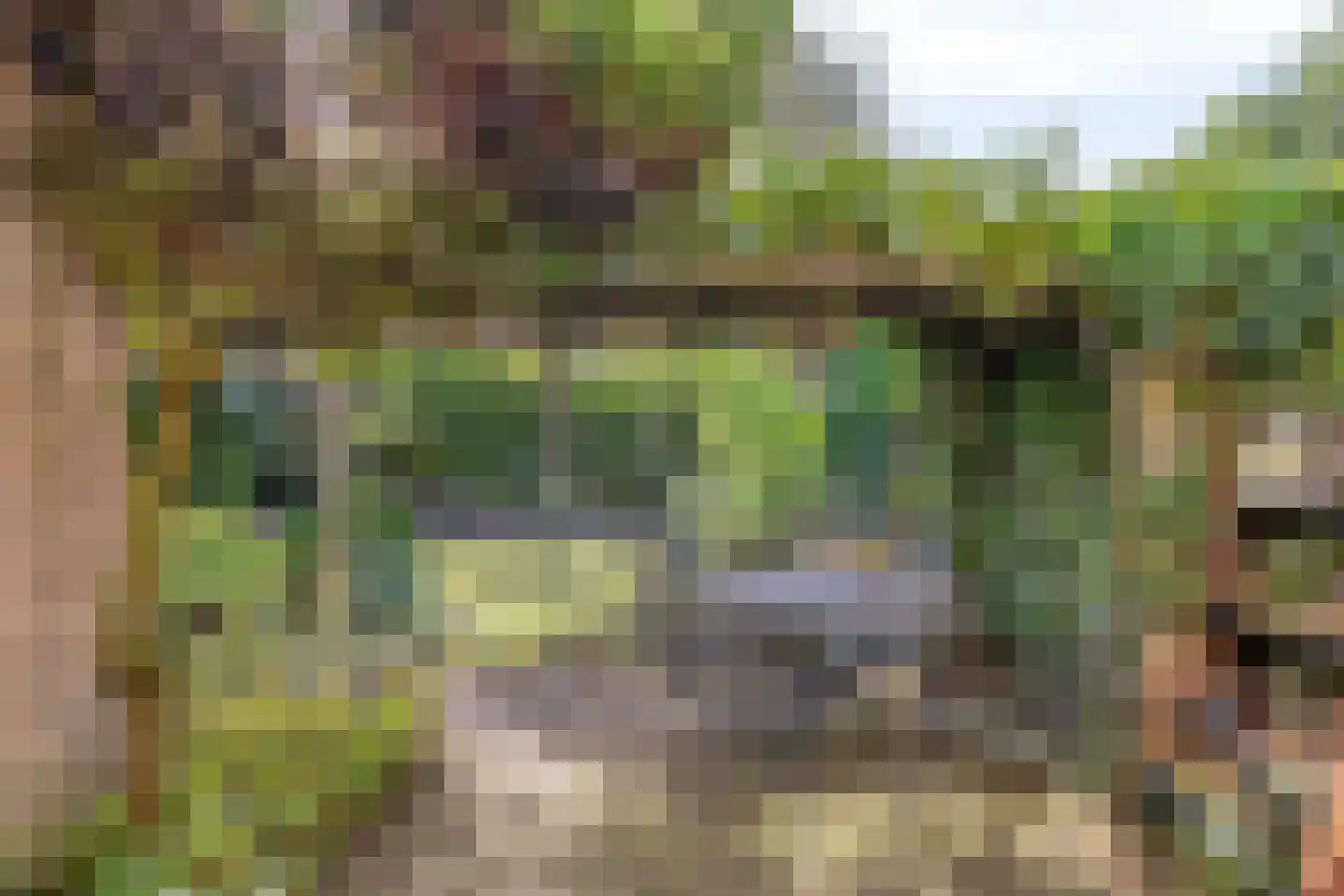 De Wever 27 Veldhoven thumbnail 27