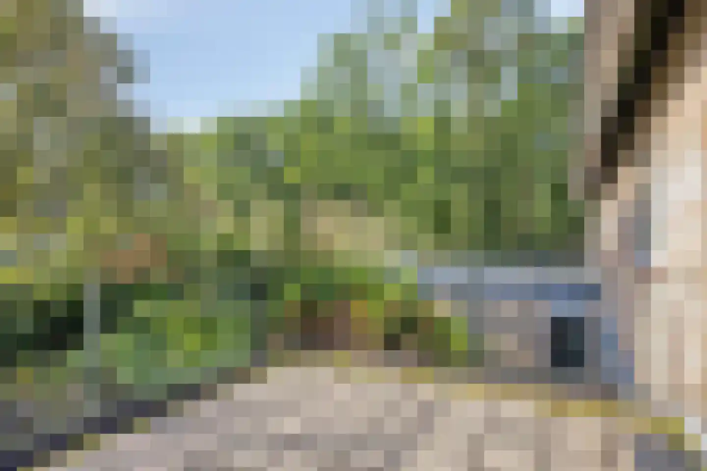 De Wever 27 Veldhoven thumbnail 29