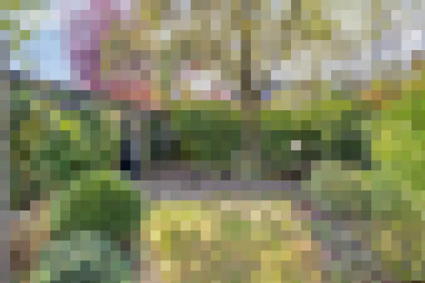 De Wever 27 Veldhoven thumbnail 33