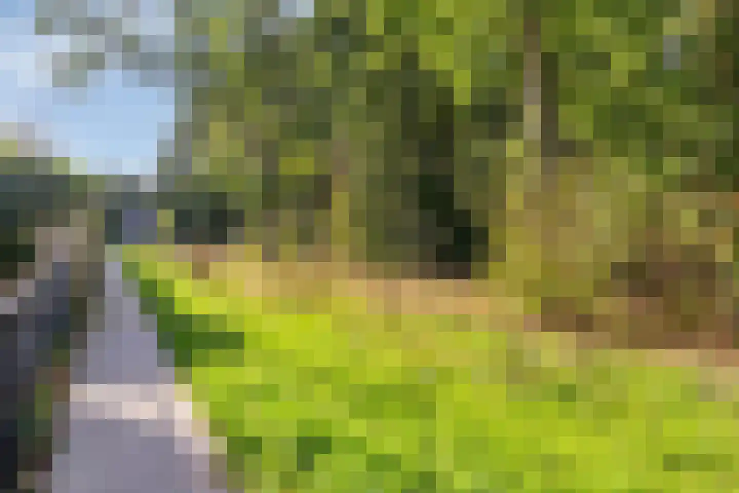 De Wever 27 Veldhoven thumbnail 38
