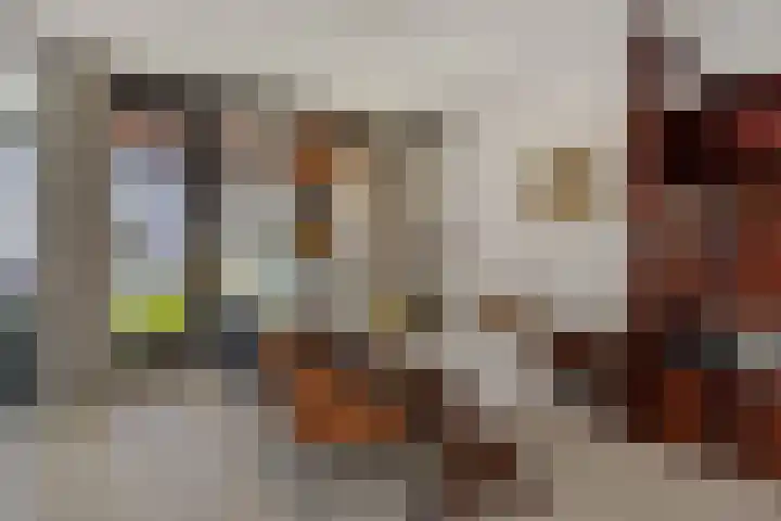 de Wever 39 Deurne thumbnail 16