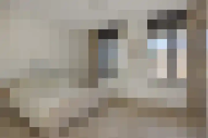de Wever 39 Deurne thumbnail 19