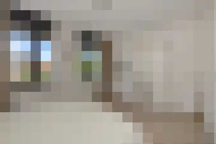 de Wever 39 Deurne thumbnail 20