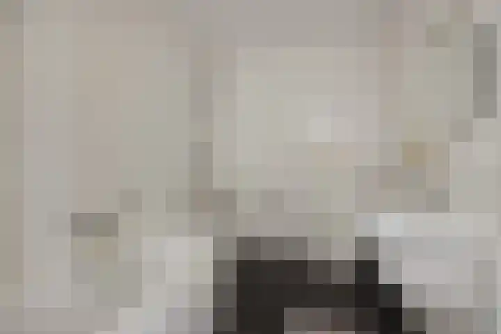 de Wever 39 Deurne thumbnail 22