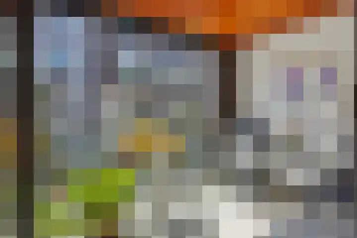 de Wever 39 Deurne thumbnail 23