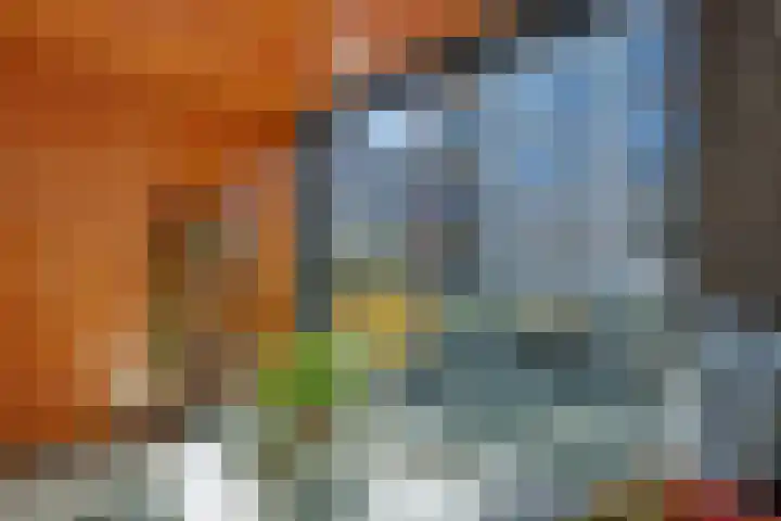 de Wever 39 Deurne thumbnail 24