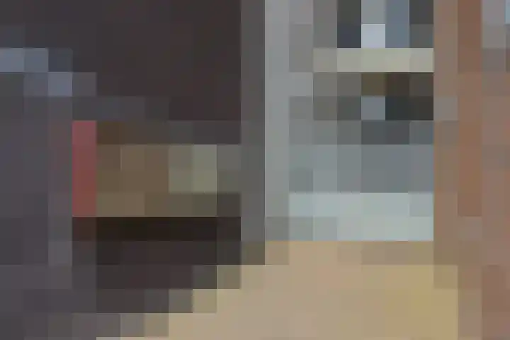 de Wever 39 Deurne thumbnail 7