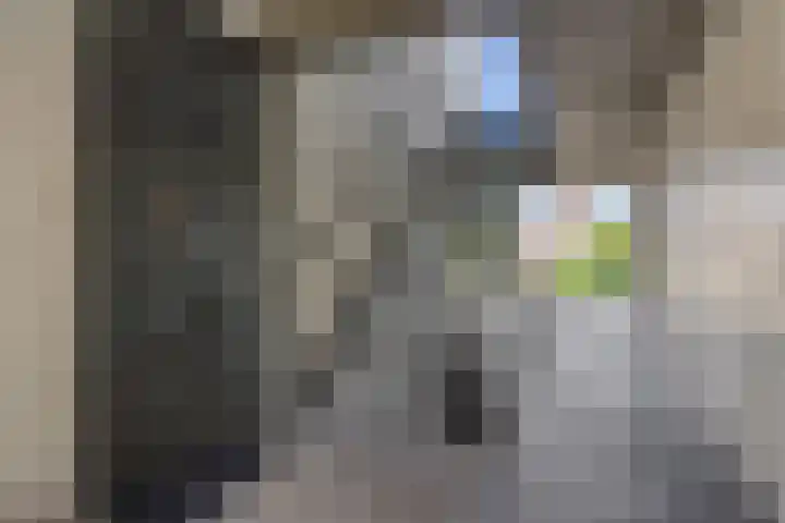 de Wever 39 Deurne thumbnail 9