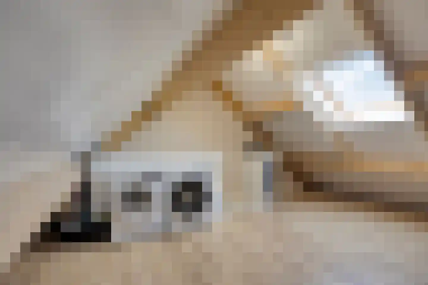 De Weverij 1 Schaijk thumbnail 20