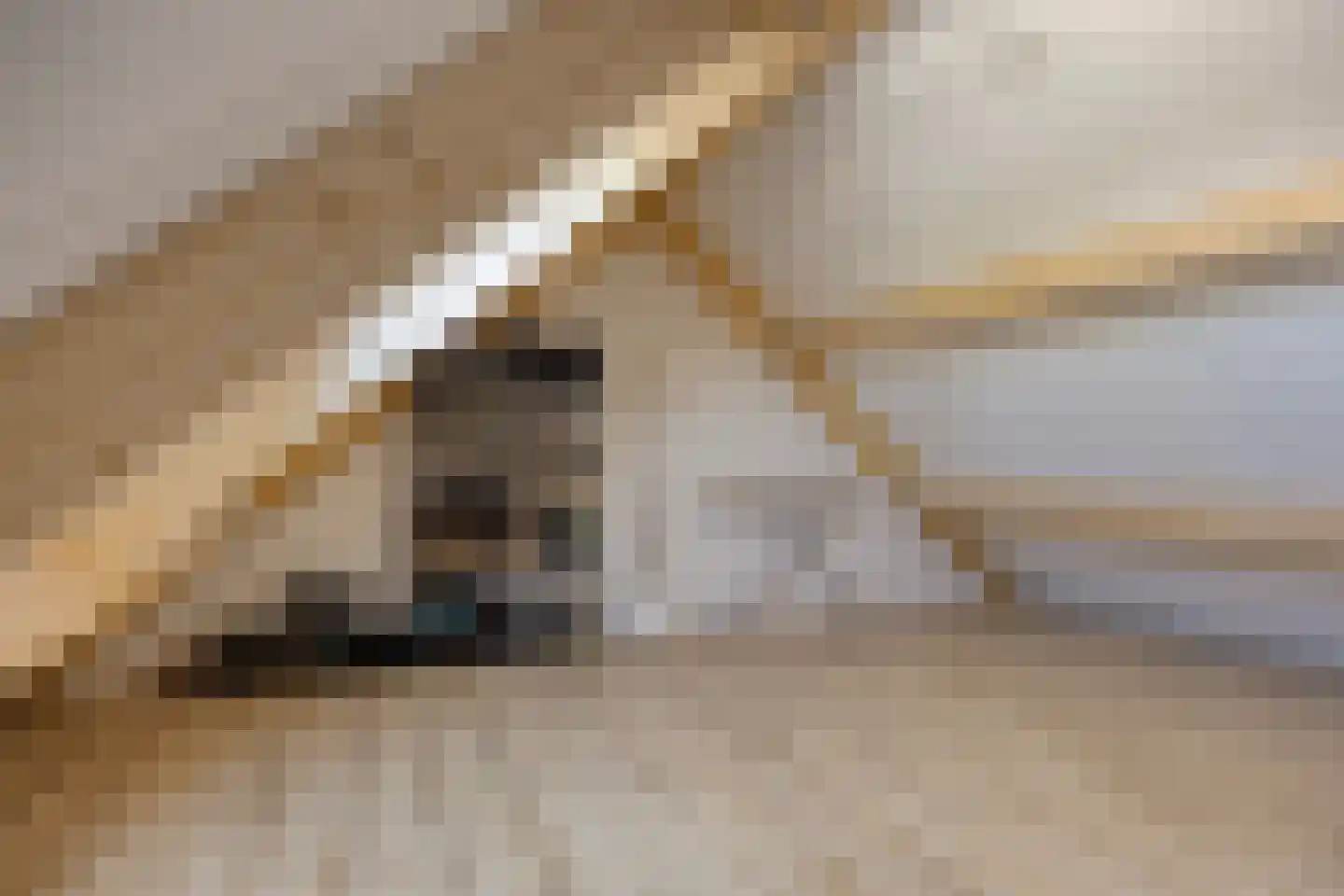 De Weverij 1 Schaijk thumbnail 21