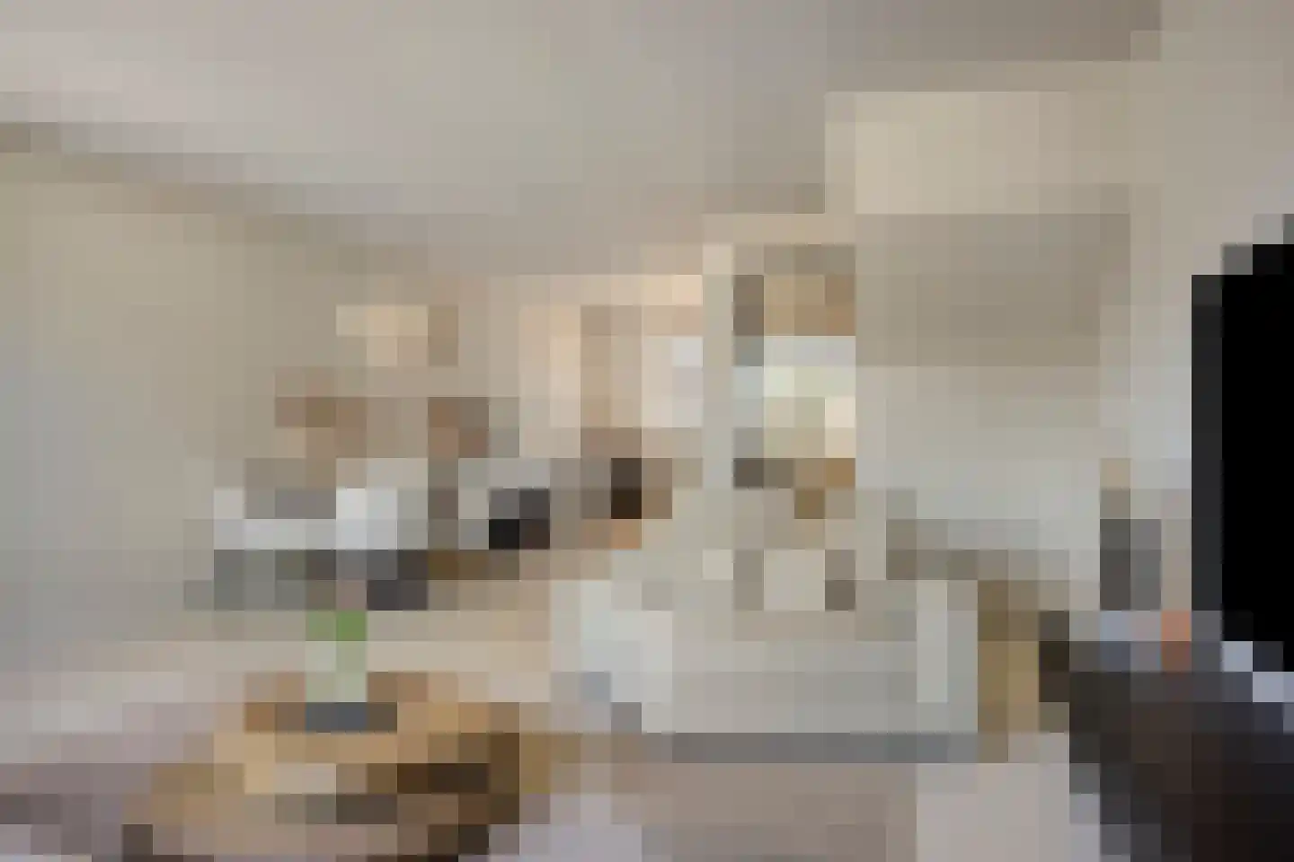 De Weverij 1 Schaijk thumbnail 9