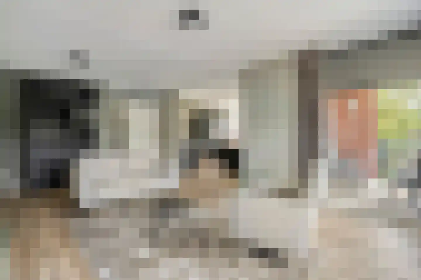 De Weverij 11 Hardenberg thumbnail 14