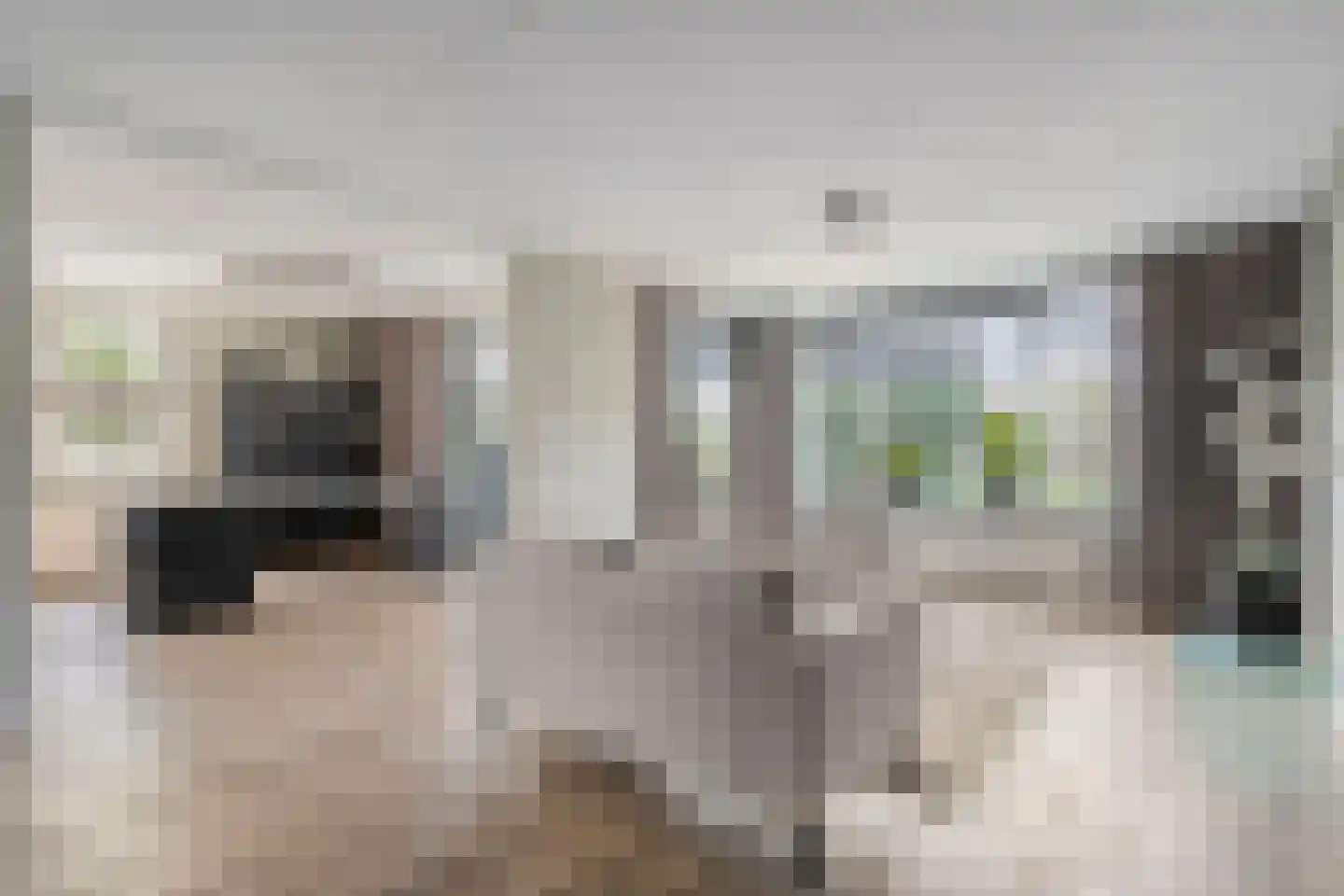 De Weverij 11 Hardenberg thumbnail 16