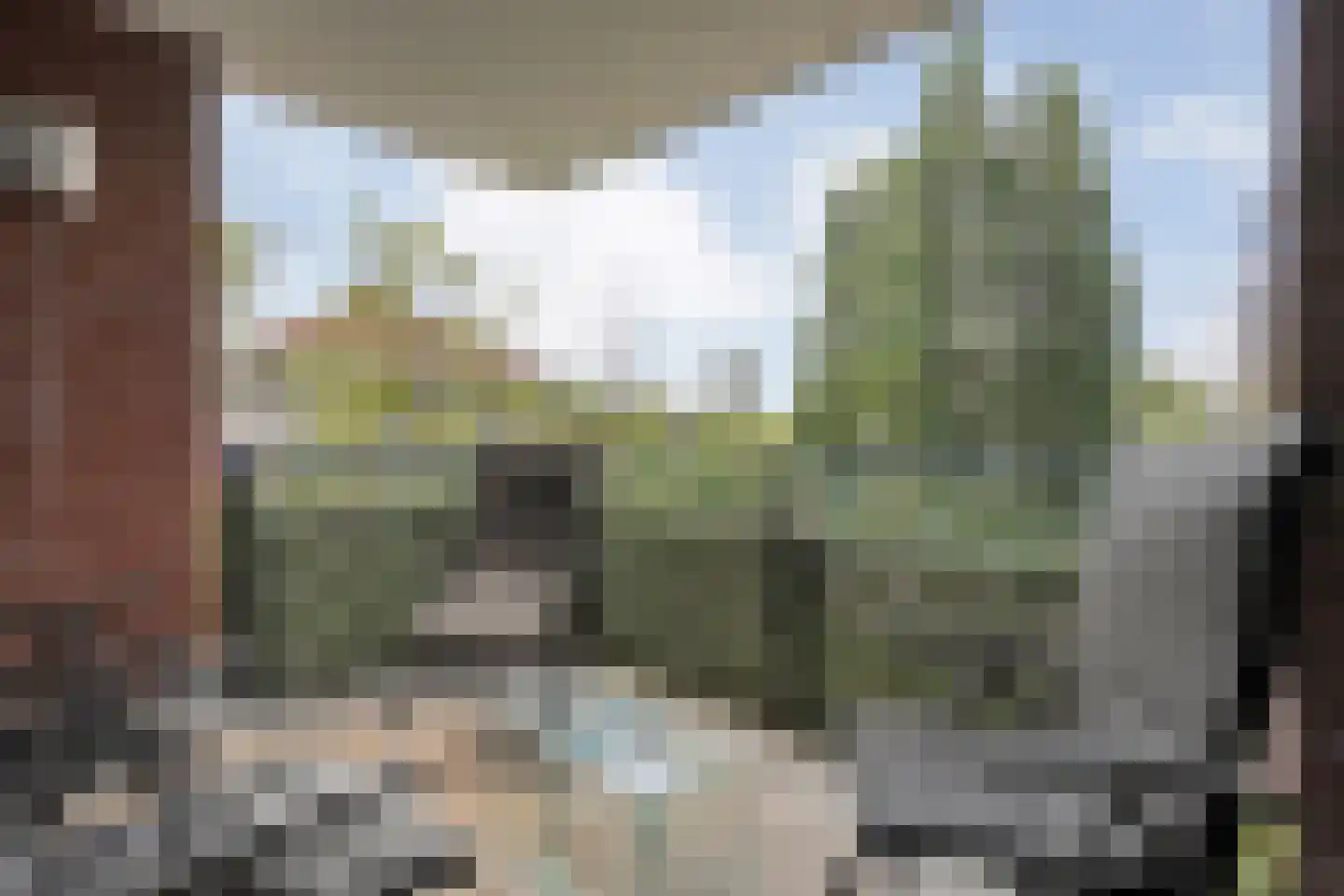 De Weverij 11 Hardenberg thumbnail 29