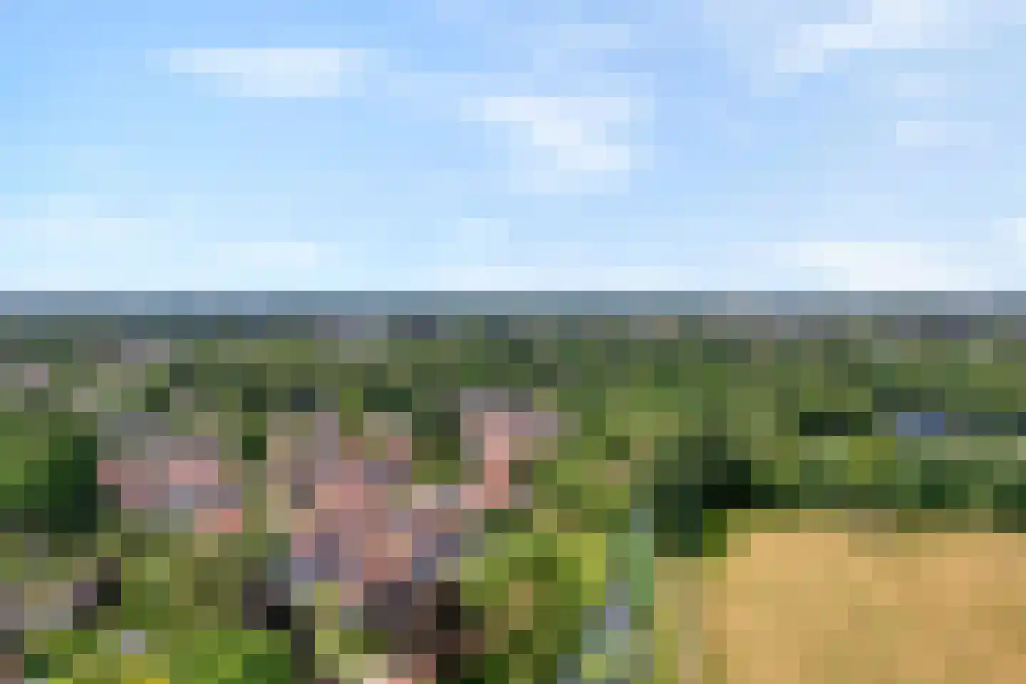 De Weverij 11 Hardenberg thumbnail 38