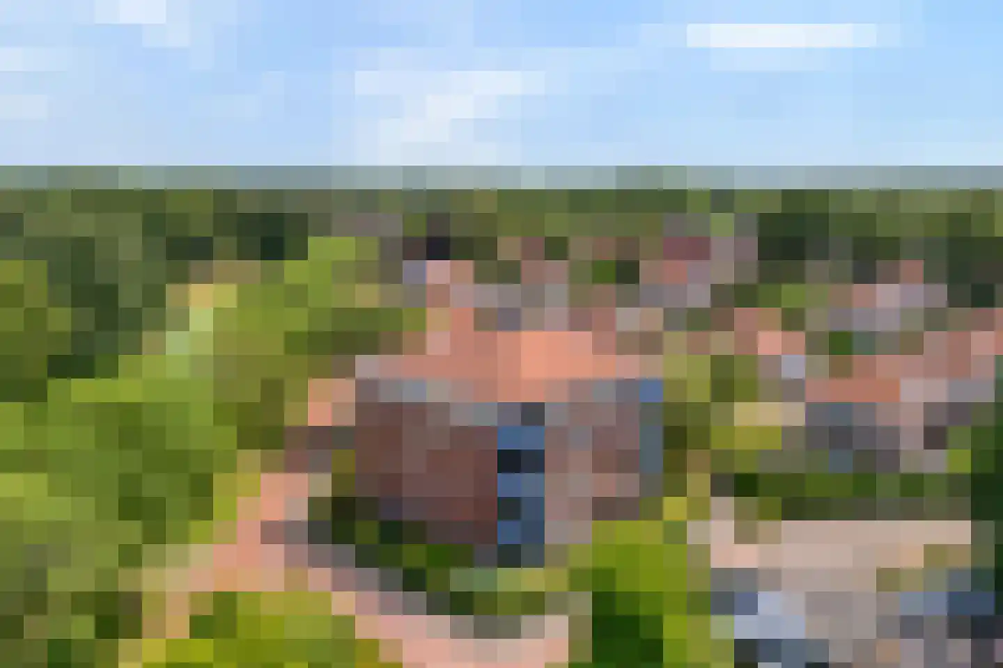 De Weverij 11 Hardenberg thumbnail 4