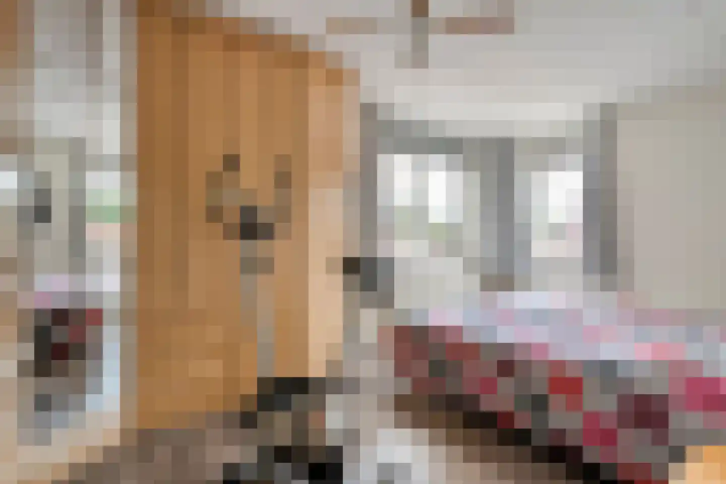 De Weverij 15 Hardenberg thumbnail 25