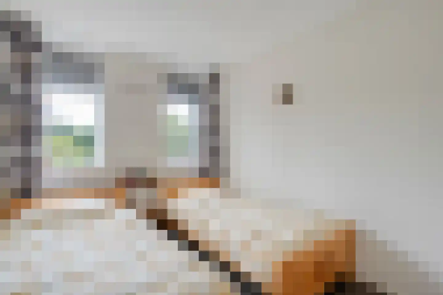 De Weverij 15 Hardenberg thumbnail 27