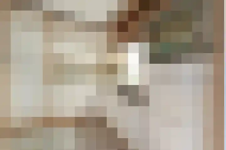 De Weverij 2 Hardenberg thumbnail 16