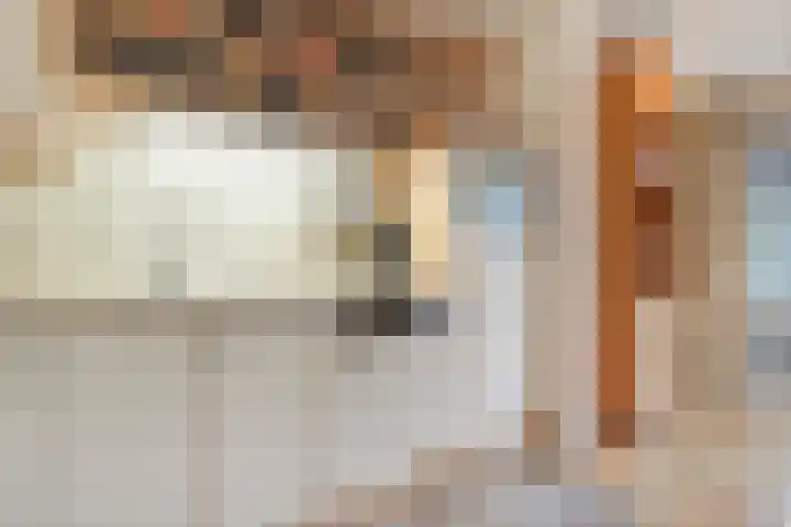 De Weverij 2 Hardenberg thumbnail 17