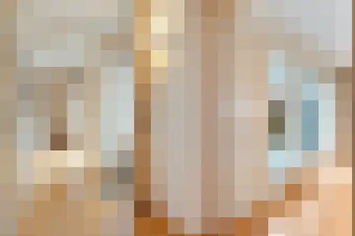 De Weverij 2 Hardenberg thumbnail 18