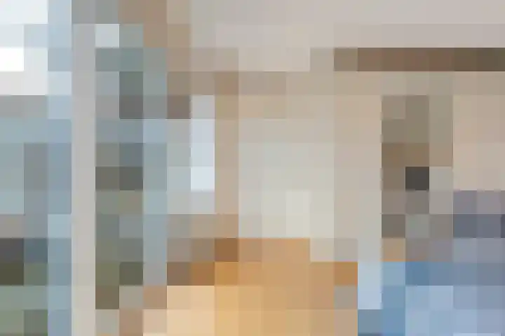 De Weverij 2 Hardenberg thumbnail 21