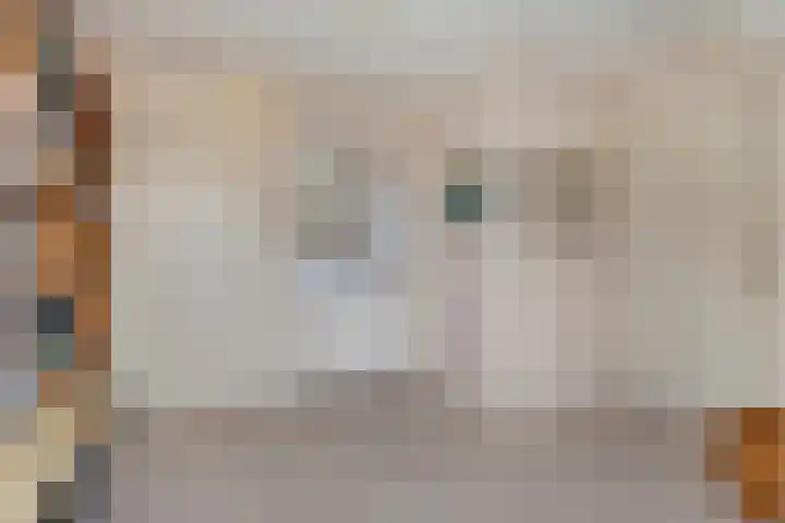De Weverij 2 Hardenberg thumbnail 33