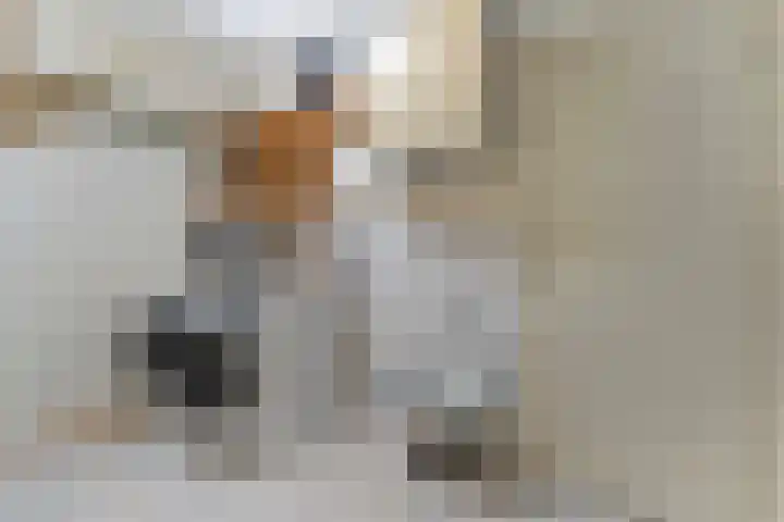 De Weverij 2 Hardenberg thumbnail 37